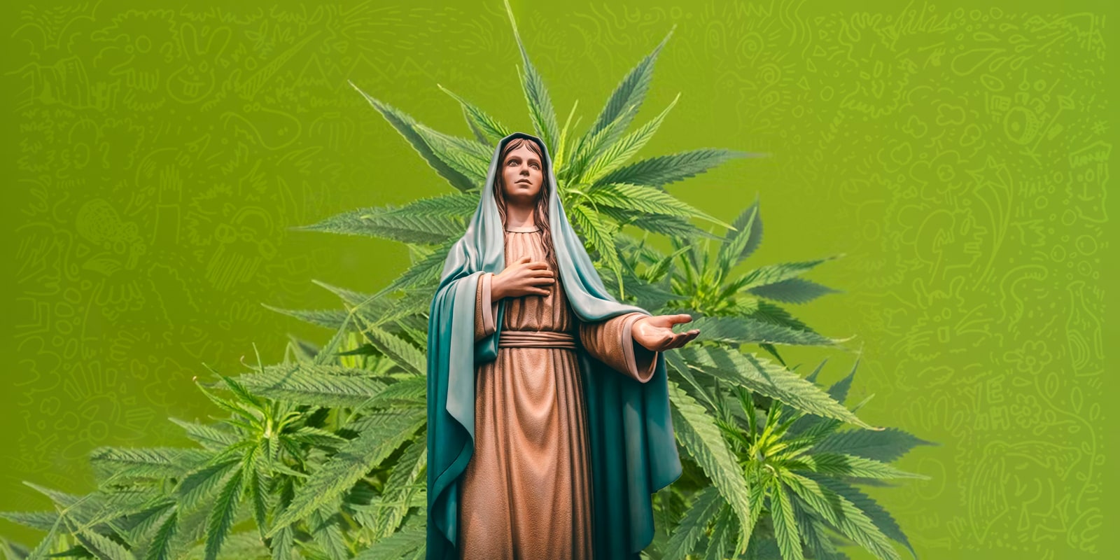 Cos’è una pianta madre di Cannabis?