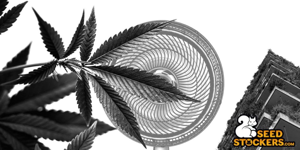carbon footprint of cannabis cultivation