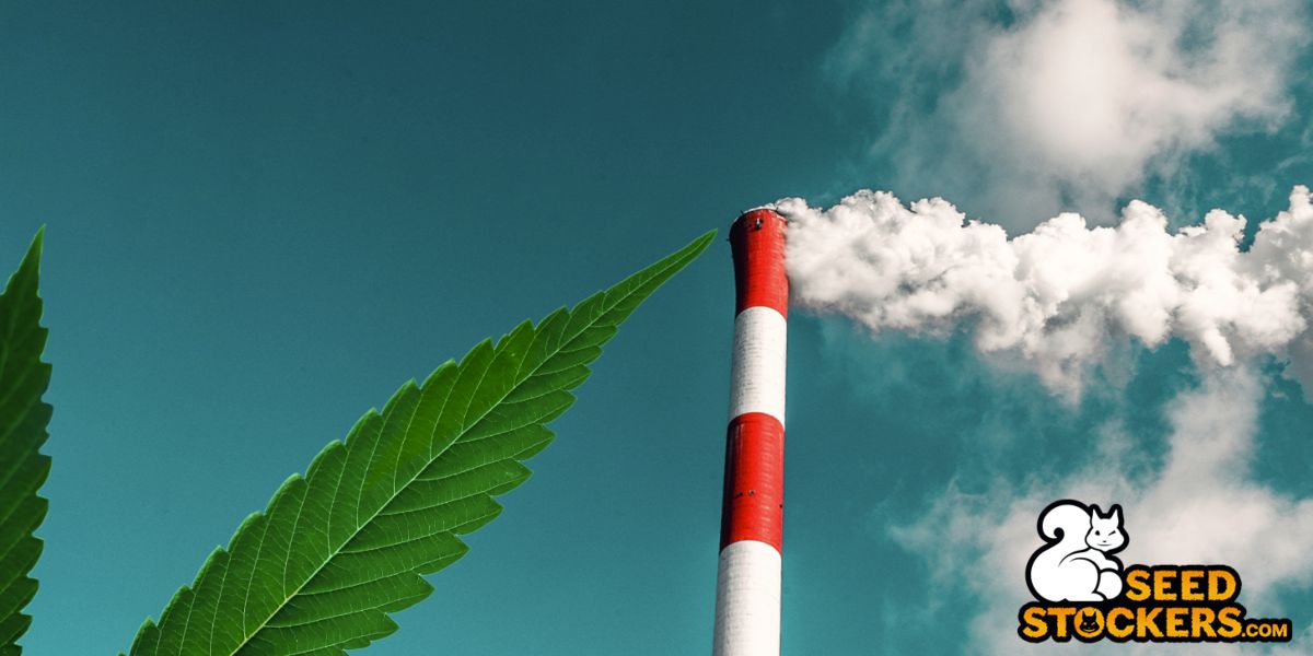 Come ridurre le emissioni di carbonio nella coltivazione di cannabis indoor