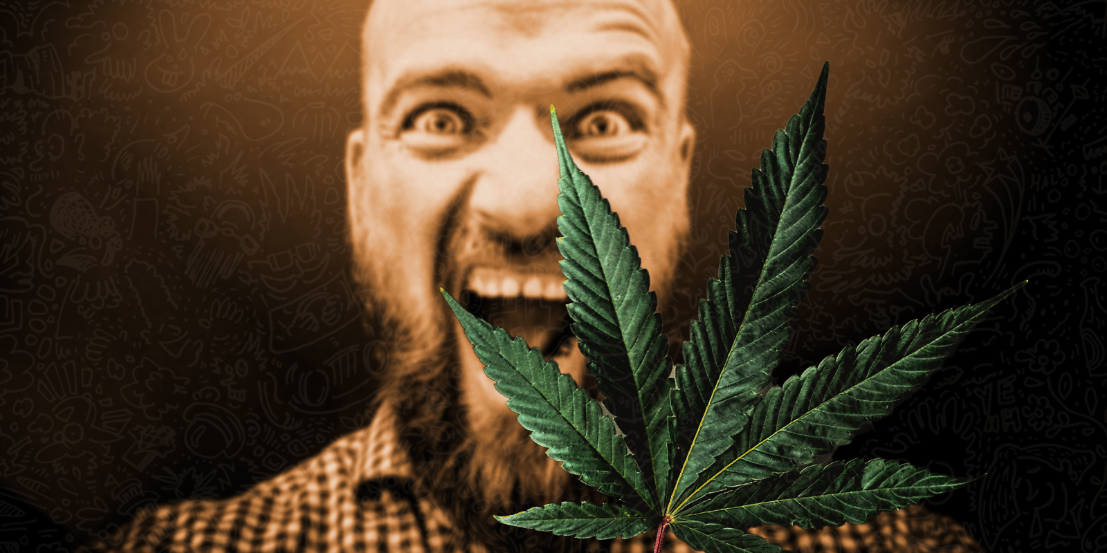 Eccesso di fertilizzante e nutrienti nella cannabis