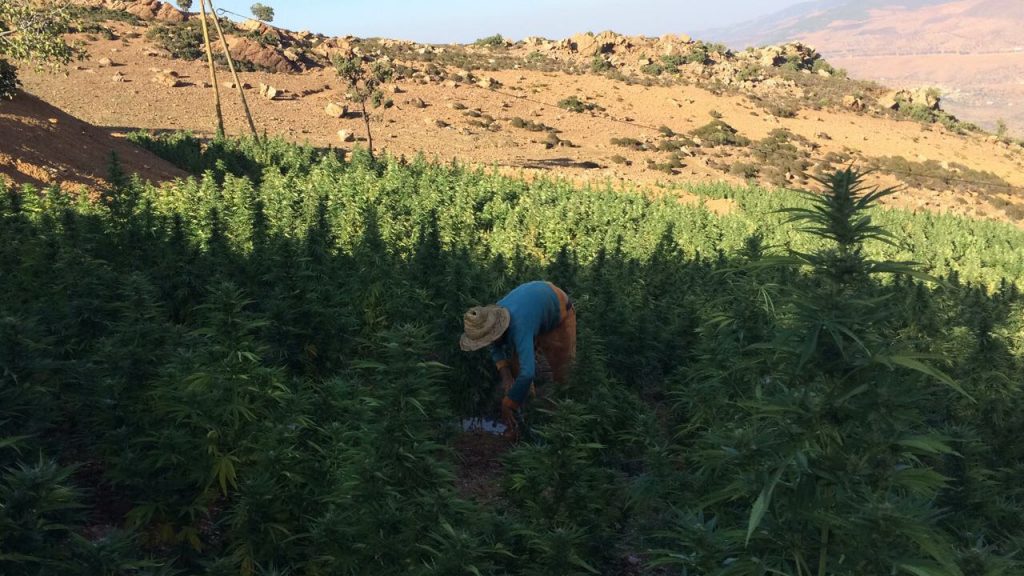 bcn-critical-xxl-marruecos