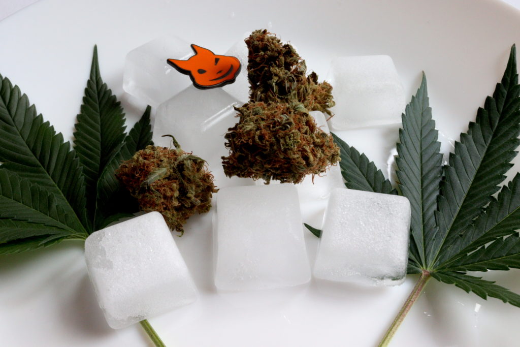 se puede congelar la marihuana