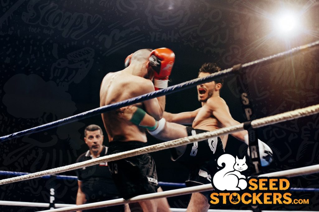 UFC