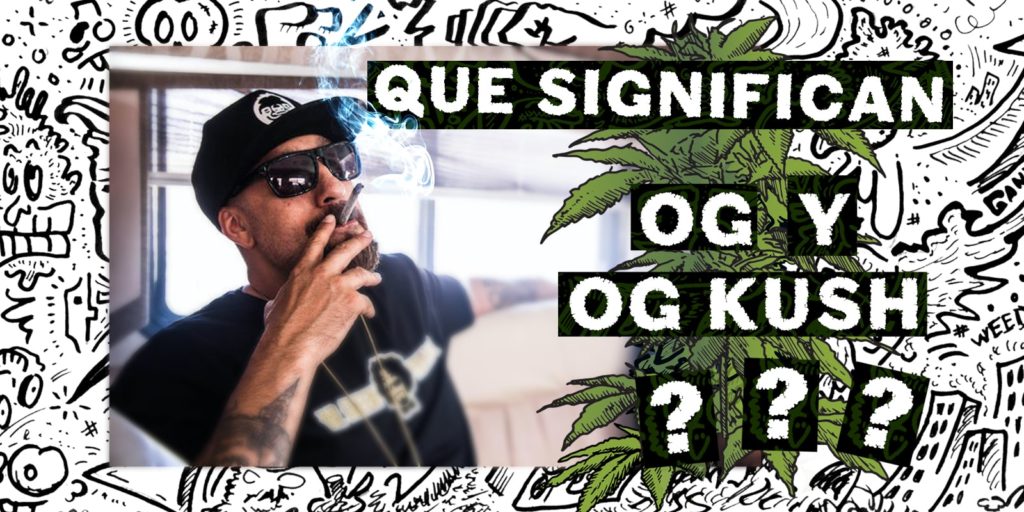 og kush y og og kush y og