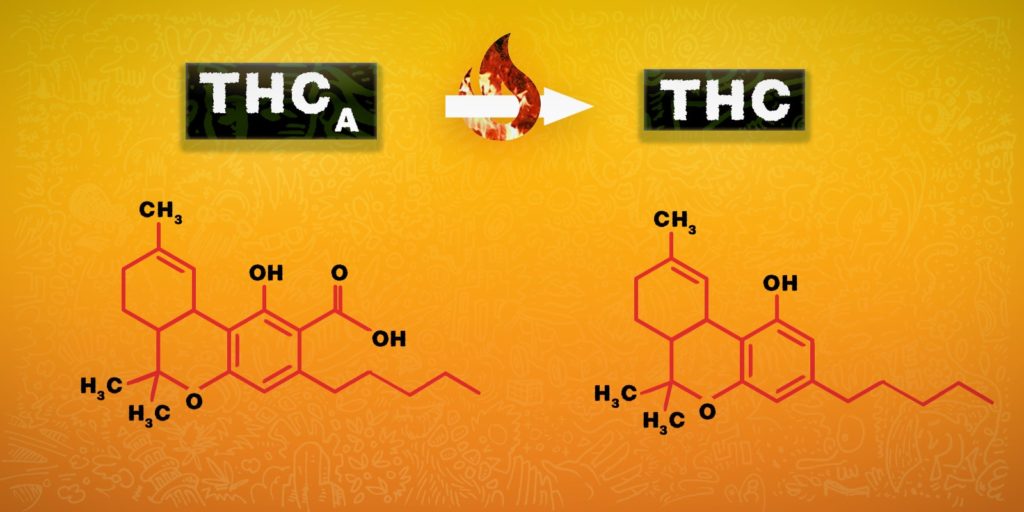 thc a thca