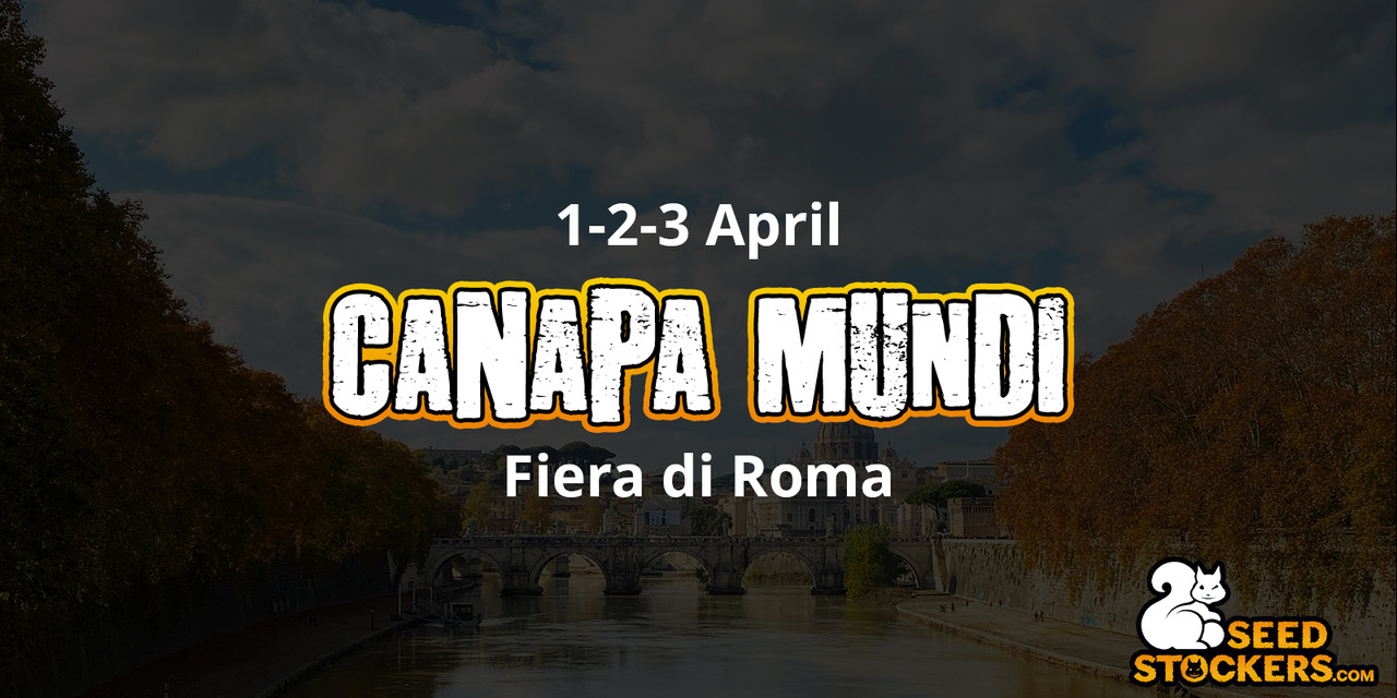 Seedstockers parteciperà a Canapa Mundi, una delle fiere più riconosciute nel mondo della cannabis