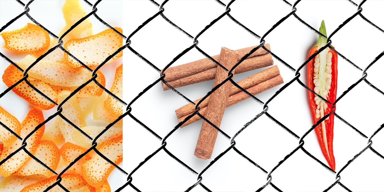 Come proteggere dagli animali le piante di cannabis outdoor