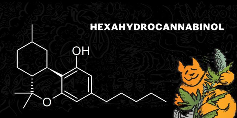L’esaidrocannabinolo (HHC), che cos’è?