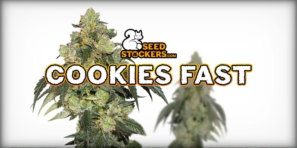 Cookies Fast