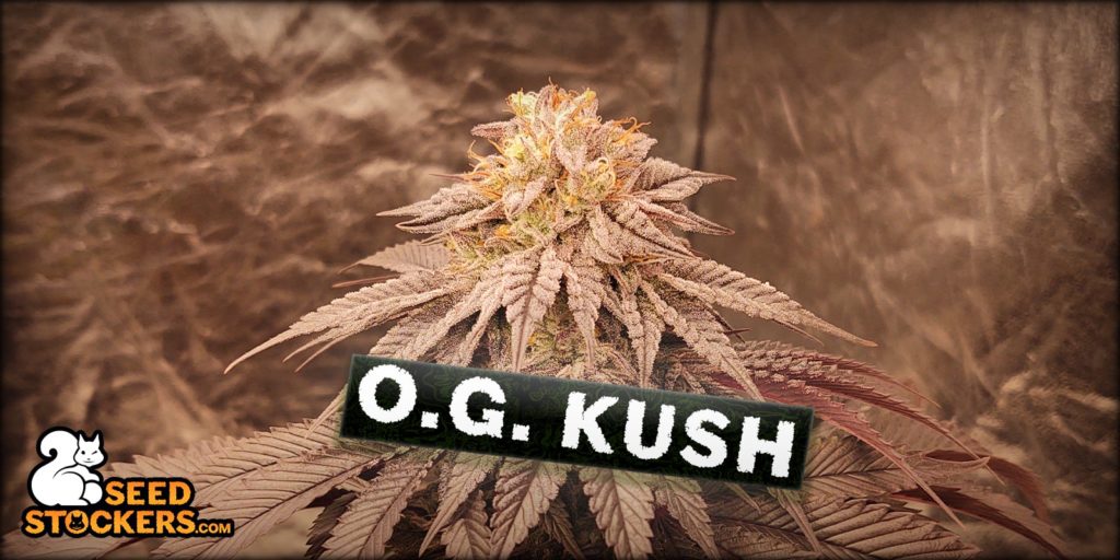 o.g. kush