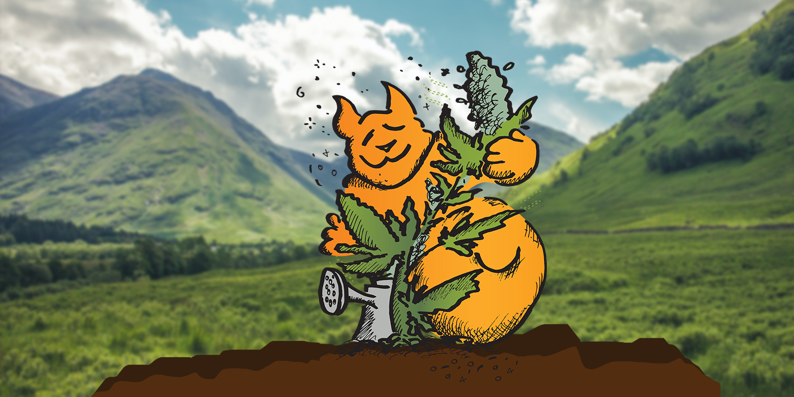 Comment arroser les plantes de cannabis