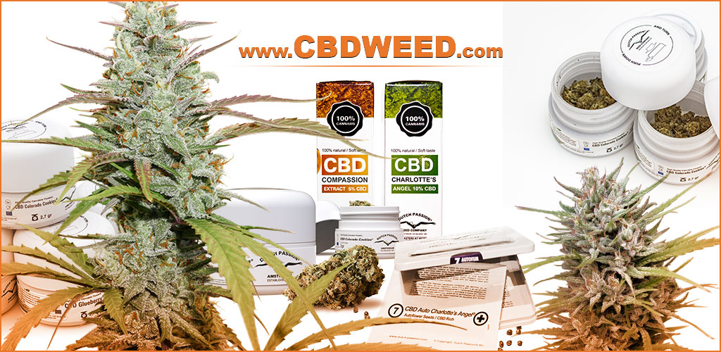 weedstockers-cbd-weed