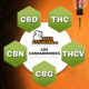 cannabinoids, Weedstockers