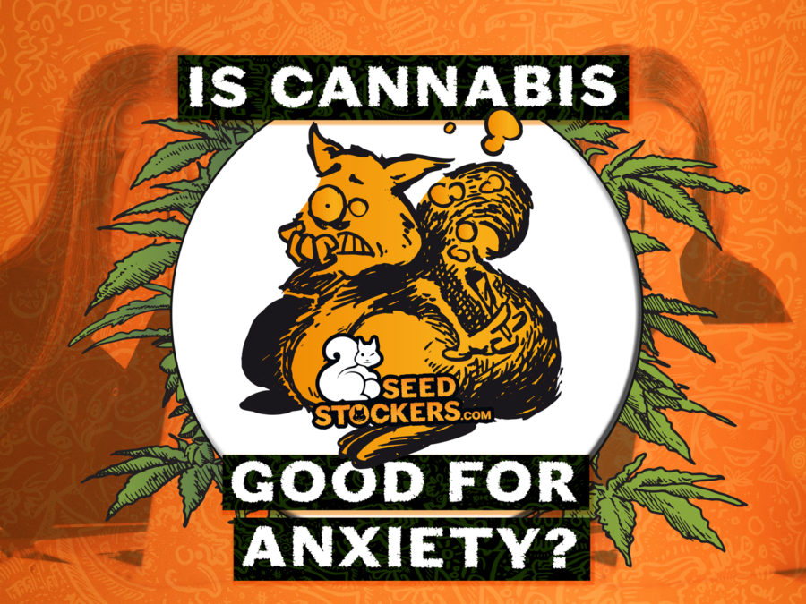 anxiety, Weedstockers