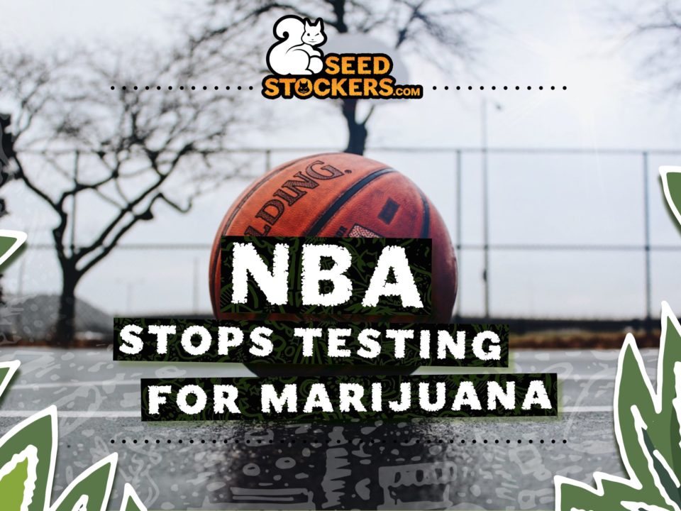 NBA stops testing for marijuana