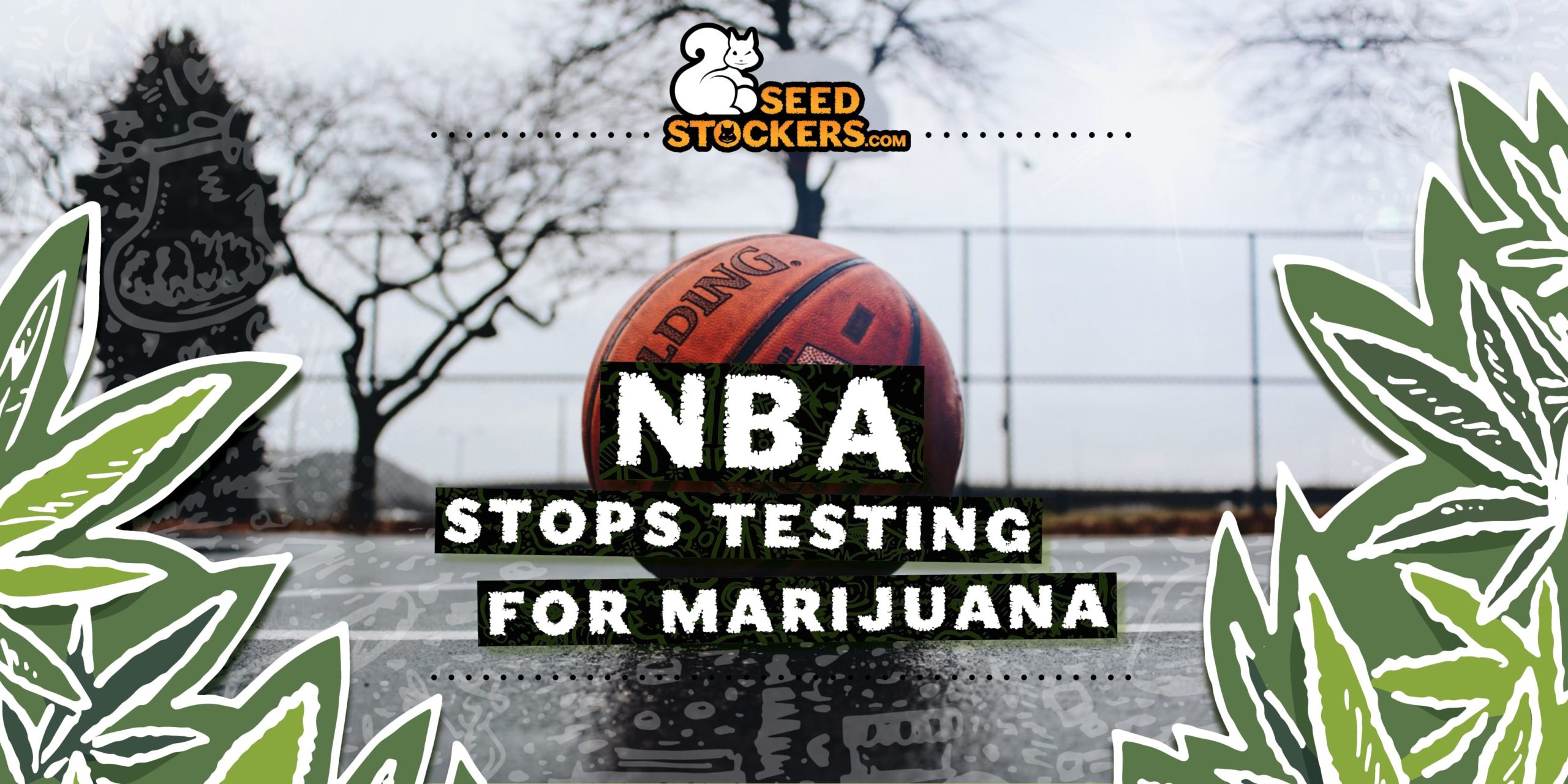 NBA stops testing for marijuana - Weedstockers