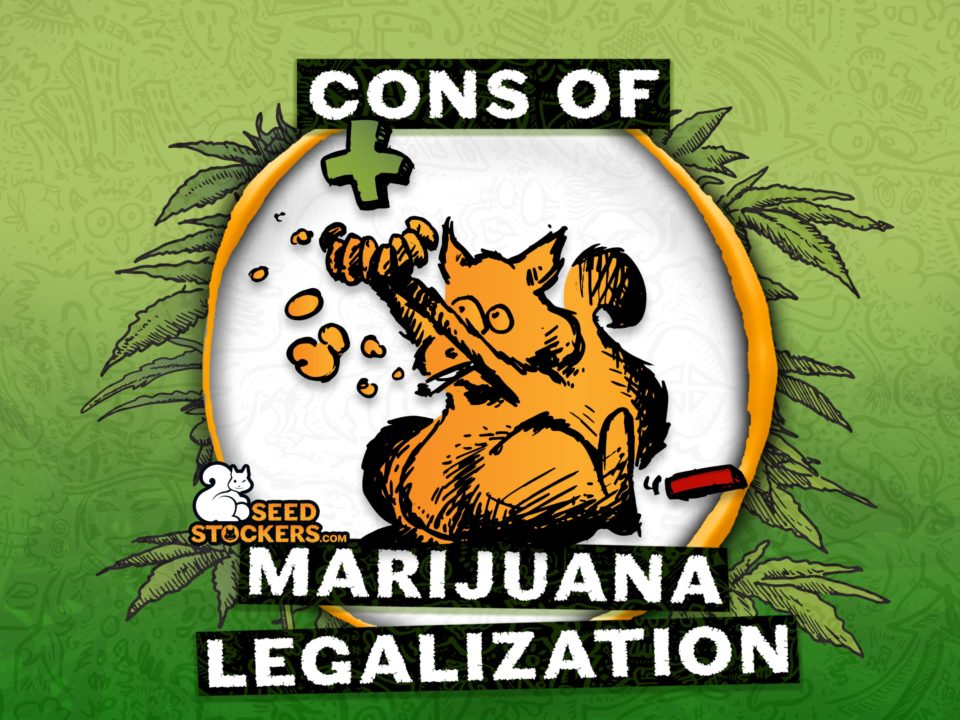 cons of marijuana legalization