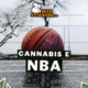 NBA, Weedstockers