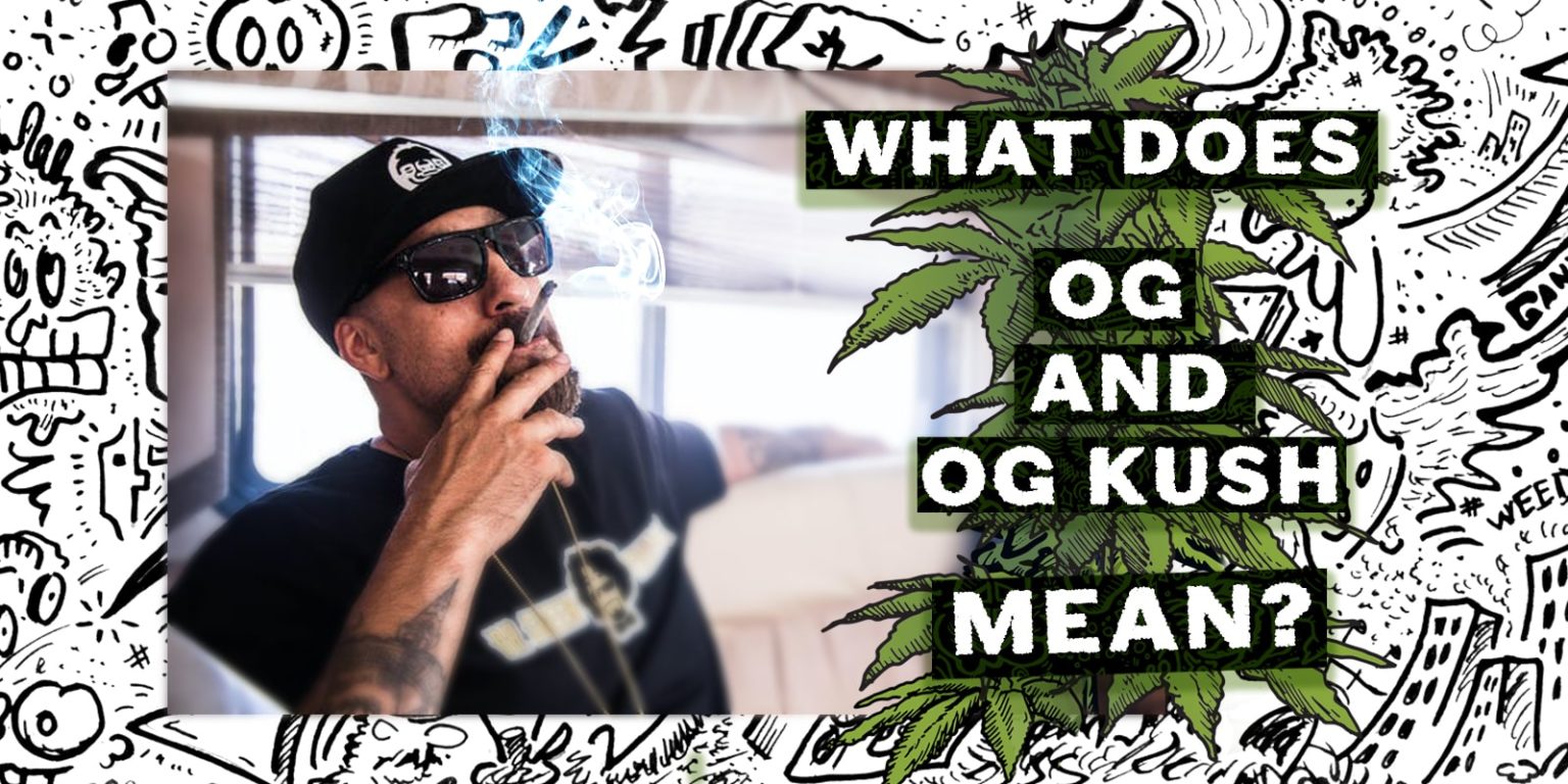 What Does OG And OG Kush Mean Weedstockers