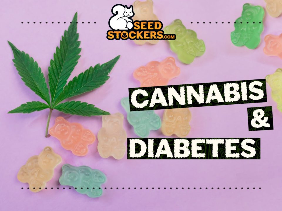 cannabis-diabetes