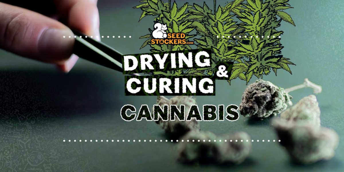 drying and curing cannabis, Weedstockers
