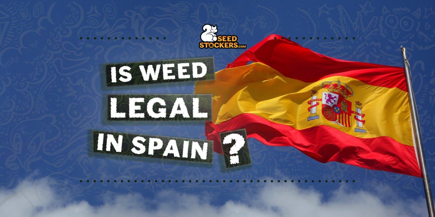 is weed legal in spain
