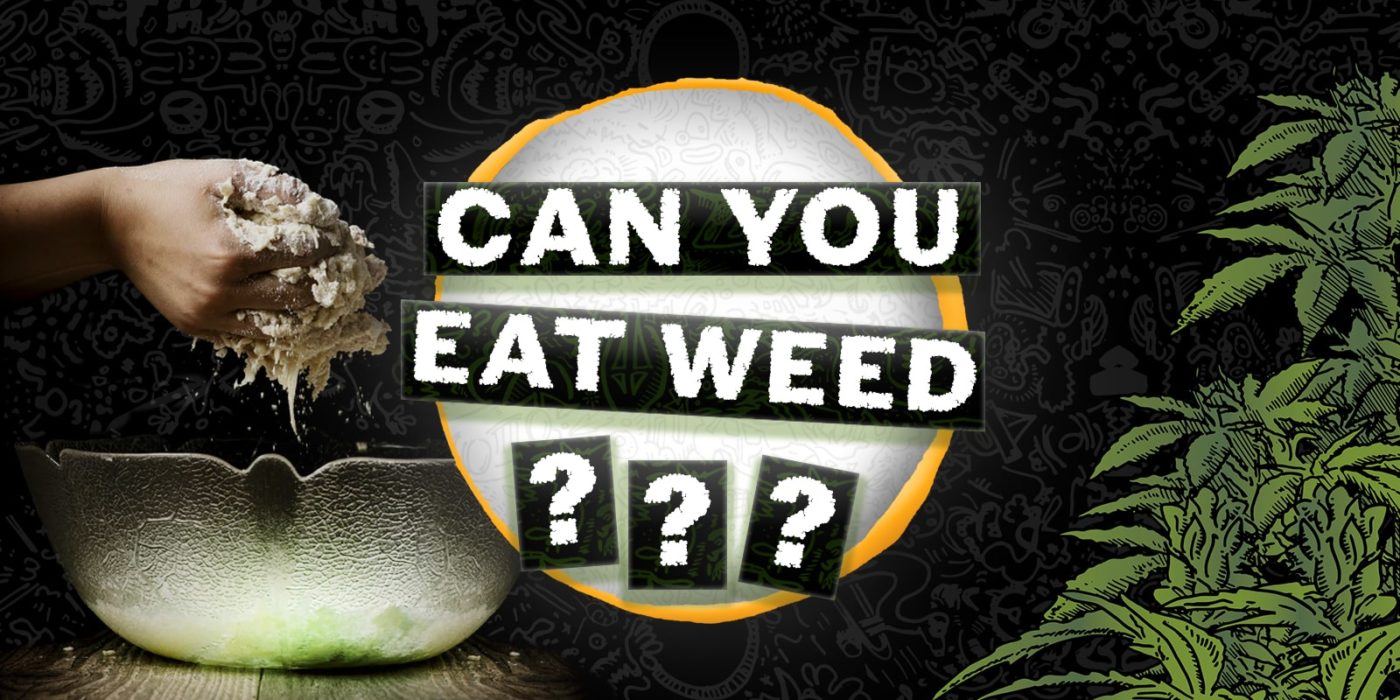 can you eat weed