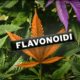 flavonoids, Weedstockers