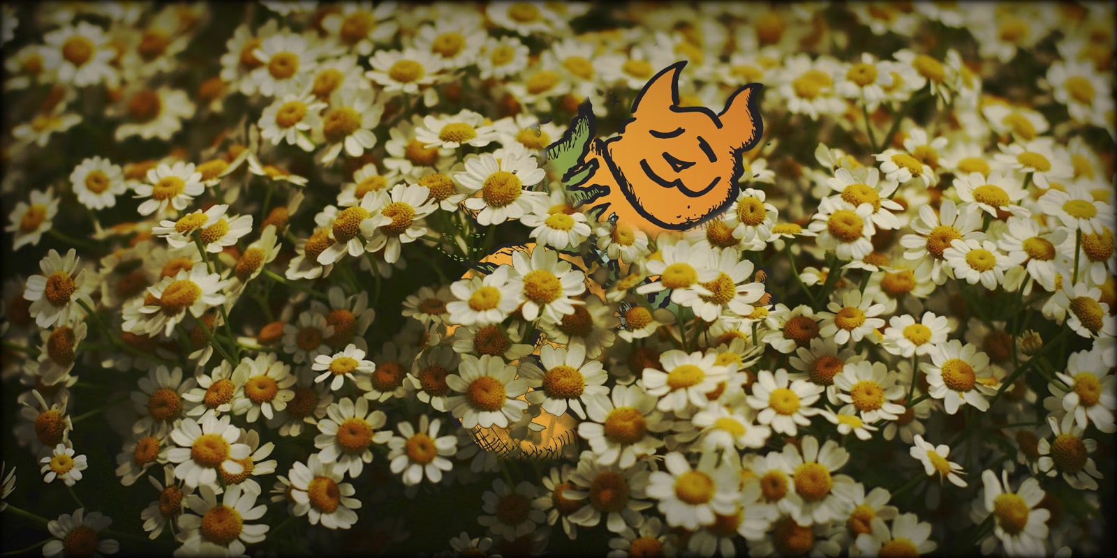 A comprehensive guide on Cannabis Flavonoids Weedstockers