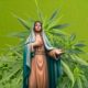 cannabis mother plant, Weedstockers
